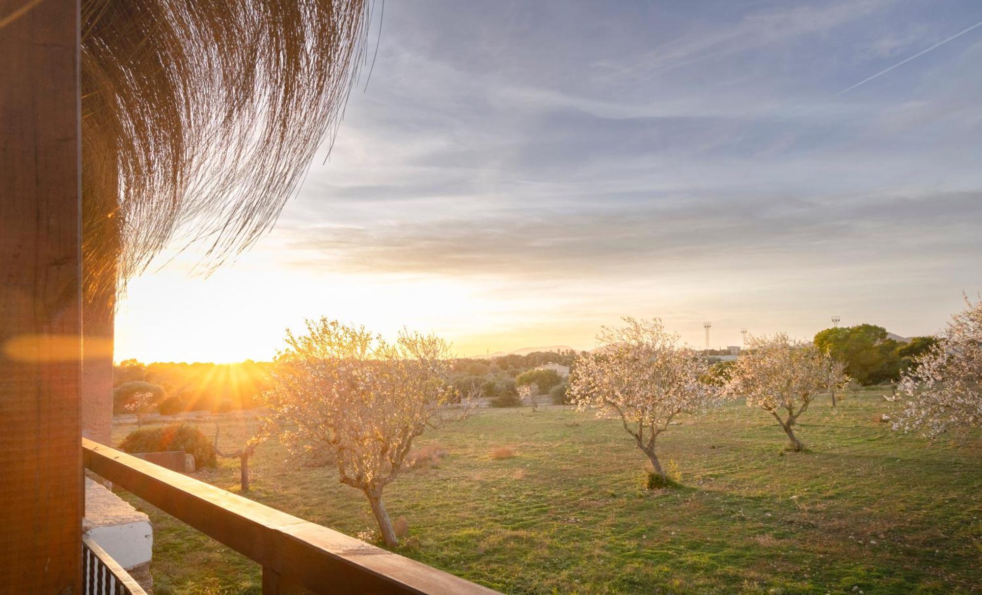 Agroturismo Finca Sa Tanca Кала де Ор Экстерьер фото